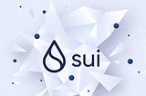 Empowering Privacy in a Data-Driven World: The SUI Solution