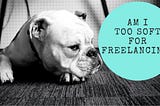 Am I Too Soft for Freelancing?
