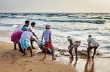 Inside a Chennai fish market