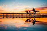 5 Paths to Cultivating a “Right Relationship” With Life