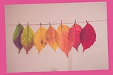 Embracing the Unknown: 4 Wisdom-Packed Quotes for Navigating Change.