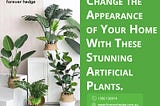 Tips to Decorate Your Home with Fake Plants!