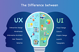 UI & UX