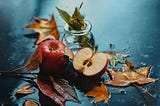 Yvette Heiser Texas — How Photography Can Captivate and Inspire