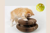 cat toy