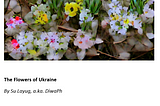 The Flowers of Ukraine