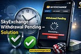 SkyExchange Withdrawal Pending — Solution