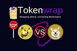 Eliminating Cross-Chain Token Confusion