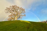 A rainbow frames a tree standing tall on a green hill. In the background, the sky is half covered in gray clouds and half blue