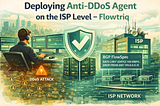 Deploying Anti-DDoS Agent on the ISP Level — Flowtriq