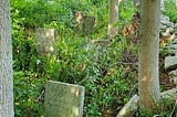 Forgotten Waterford Burial Sites: Wheeler Cemetery (Quaker Hill)
