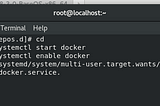Configure Apache web server on Docker and Python Interpreter on Docker.