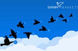 Swarm Markets weekly rewards distributions for liquidity providers and traders