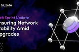 Bluzelle Bi-Weekly Sprint Update: Ensuring Network Stability Amid Upgrades- December 20, 2024