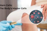 Stem Cell Research Latest Development