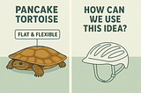 From Pancake Tortoises to Problem Solvers