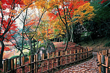 Autumn colors in Ritsurin Park, Takamatsu, Japan
