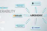 Best interoperable blockchain — Libonomy