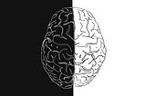 A black-and-white, left/right bisection of the human brain