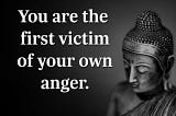 YOU ARE THE VICTIM OF YOUR OWN ANGER