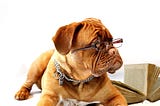 Competency Badges: the tail wagging the dog?