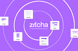 Why We Invested in Zitcha
