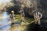 “There are only opportunities here” — Learning Science on the Job with the California Conservation…