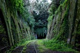 Train tracks going into a tunnel surrounded by trees and foliage