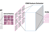 Computer Vision in Healthcare 2020 — Current Applications