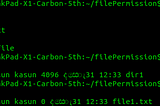 Demystifying Linux 101: File System and the permission conflict.