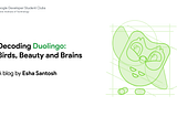 Decoding Duolingo: How Technology Design Can Shape Learning Journeys