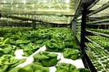Stacking up food — The concept of Community Vertical Farms