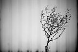 These Tiny Photography Projects Just Might Change Everything