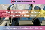 The Ultimate Guide on Delta Upgrade to First Class