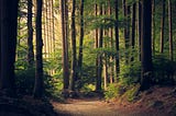 The Act of Finding Purpose
