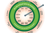 How the First Doughnut Economy Could Spark a Global Revolution