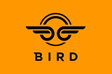 Bird — Spring ‘21
