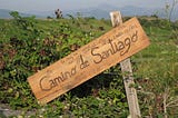 The Way of St James: What the Camino Taught Me about Business
