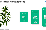 Cannabis stock analysis: ‘You can predict a pothead. A pot stock, not so much.’