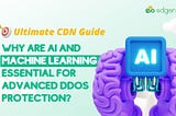 Why Are AI and Machine Learning Essential for Advanced DDoS Protection?
