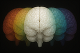 The Single Mind Theory of Consciousness
