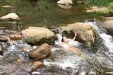 Wild Waterfall Meditation