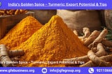 India’s Golden Spice — Turmeric: Export Potential and Tips | GFE Business