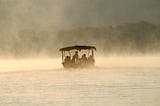 Musings of a Naturalist — misty morning safaris
