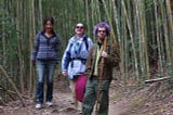 Three people walking through a bamboo forest in the mountains of Taiwan. One is a man wearing a green jacket and purple knitted hat, and the other two are women. All appear to be smiling or laughing.