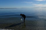 Seaweed Structures: An ‘Abundant’ Resource