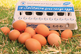 Cracking the Code to Sustainable Hospitality: Why Hotel Verde Chooses Solitaire Free Range Eggs