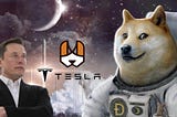 The Birth of DogsOfTesla! World’s Best Community Coin after bitcoin and doge coin