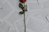 rose for lola