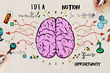 Brain drawing with idea, notion & opportunity drawn in